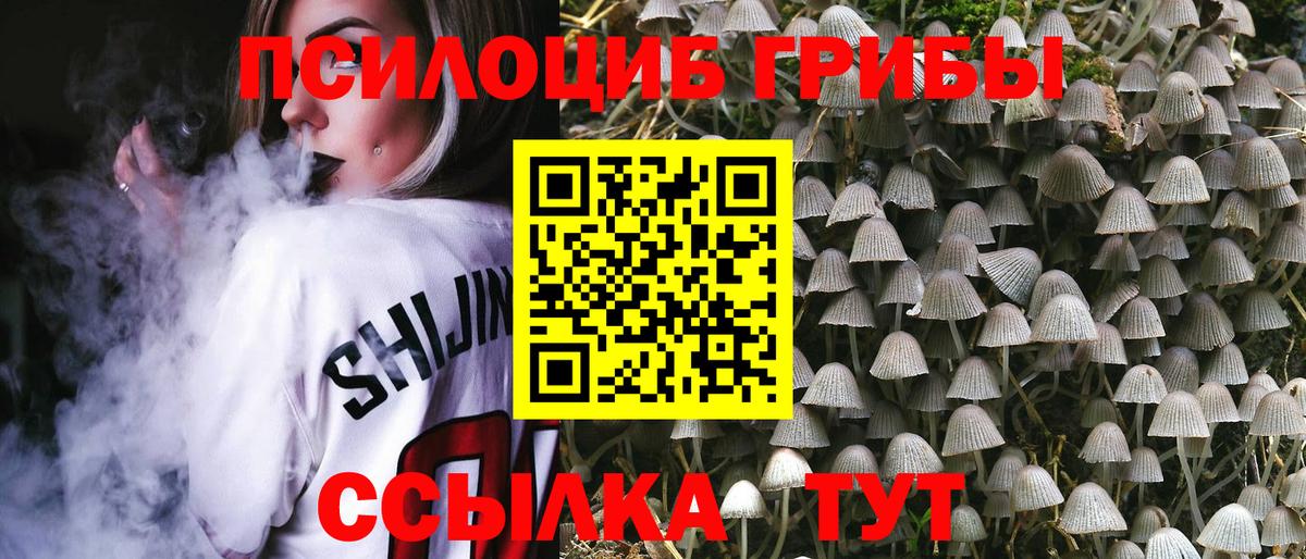 Янаул  Псилоцибиновые грибы прущие грибы  Вход с VPN 